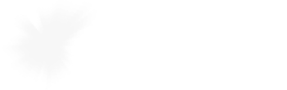 logo-ai-frankfurt-white